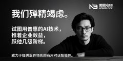 AI机器人AI应用开发DeepSeek人工智能